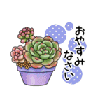 かわいい多肉植物2（個別スタンプ：15）