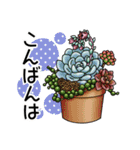 かわいい多肉植物2（個別スタンプ：18）