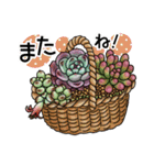 かわいい多肉植物2（個別スタンプ：24）