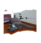 猫好きからのスタンプ2（個別スタンプ：4）