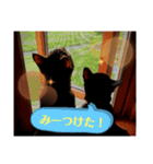 優雅なねこ活2（個別スタンプ：7）