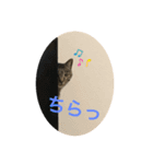 むぎちょろぴ（個別スタンプ：1）