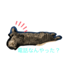 むぎちょろぴ（個別スタンプ：2）