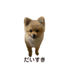 チャックだよ！（個別スタンプ：3）