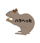 チームてまり2（個別スタンプ：13）