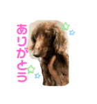専務さん（個別スタンプ：8）