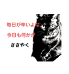 ブラック＆ホワイト 暗黒脱出（個別スタンプ：6）