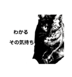 ブラック＆ホワイト 暗黒脱出（個別スタンプ：8）