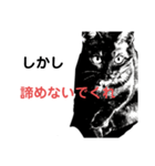 ブラック＆ホワイト 暗黒脱出（個別スタンプ：11）