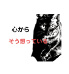 ブラック＆ホワイト 暗黒脱出（個別スタンプ：12）