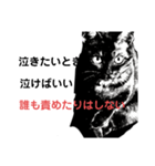 ブラック＆ホワイト 暗黒脱出（個別スタンプ：13）