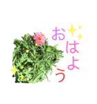 なぁさんたち2（個別スタンプ：7）