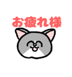 ニコニコ猫 ハチワレ（個別スタンプ：4）
