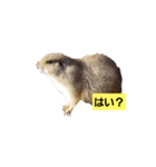 TP@edogaw（個別スタンプ：2）