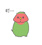 オウムのミニデイリー 1（個別スタンプ：10）