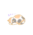 まったりねこのスタンプ 改訂版（個別スタンプ：4）