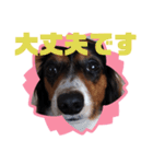 サナの日常会話9（個別スタンプ：2）
