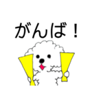 トイプードル☆マロ1（個別スタンプ：5）