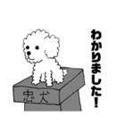 トイプードル☆マロ1（個別スタンプ：7）