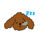 わたしんちのワンコ（個別スタンプ：4）