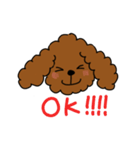 わたしんちのワンコ（個別スタンプ：16）