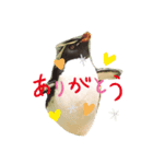 ず〜〜スタンプ（個別スタンプ：2）