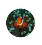 ボホール島（個別スタンプ：1）