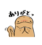 オオサンショウウオのかもすけ（個別スタンプ：5）