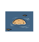 オオサンショウウオのかもすけ（個別スタンプ：16）