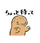 オオサンショウウオのかもすけ（個別スタンプ：21）