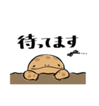 オオサンショウウオのかもすけ（個別スタンプ：24）