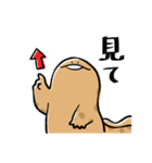 オオサンショウウオのかもすけ（個別スタンプ：35）
