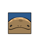 オオサンショウウオのかもすけ（個別スタンプ：36）