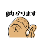 オオサンショウウオのかもすけ（個別スタンプ：40）