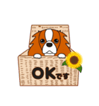 キャバリア ロンドン 3（個別スタンプ：1）