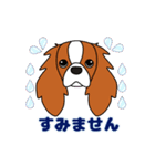 キャバリア ロンドン 3（個別スタンプ：7）