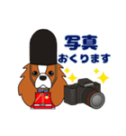 キャバリア ロンドン 3（個別スタンプ：9）