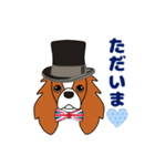 キャバリア ロンドン 3（個別スタンプ：11）