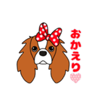 キャバリア ロンドン 3（個別スタンプ：12）
