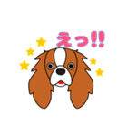 キャバリア ロンドン 3（個別スタンプ：15）
