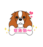キャバリア ロンドン 3（個別スタンプ：20）