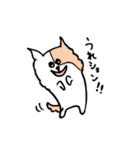どろろんいぬ（個別スタンプ：19）