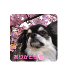 レイくんの気持ち（個別スタンプ：1）