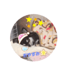 レイくんの気持ち（個別スタンプ：3）