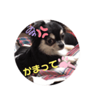レイくんの気持ち（個別スタンプ：8）