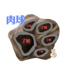 アンジェちゃん専用（個別スタンプ：1）