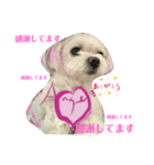 アンジェちゃん専用（個別スタンプ：2）