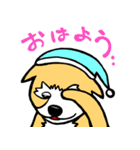 昔からいる典型的な日本の雑種コロン（個別スタンプ：3）
