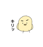 ピヨコ•ө•（個別スタンプ：5）