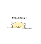 ピヨコ•ө•（個別スタンプ：10）